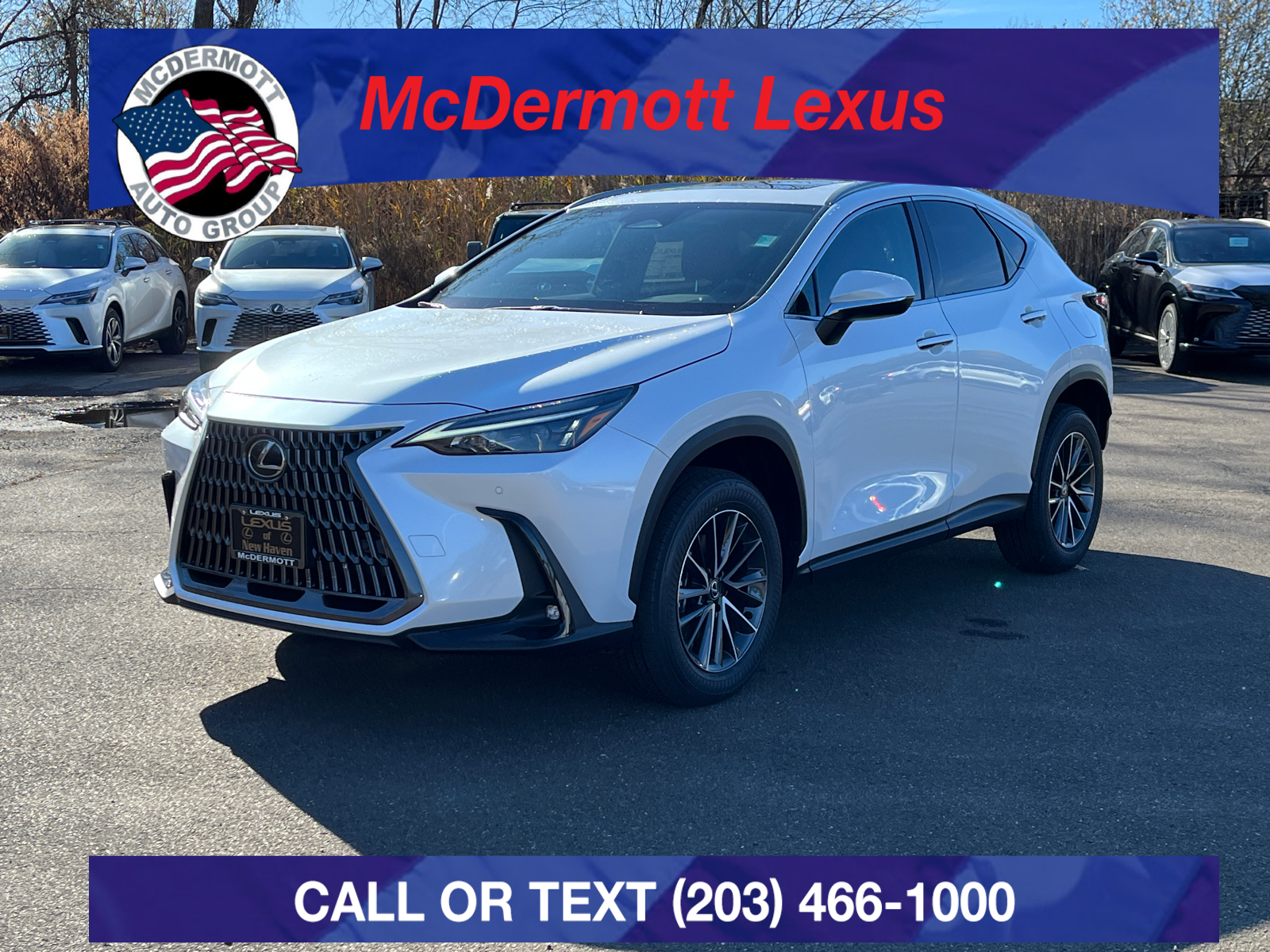 2025 Lexus NX 350 Base 1