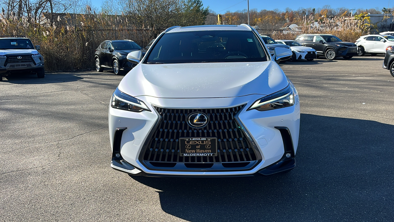 2025 Lexus NX 350 Base 2