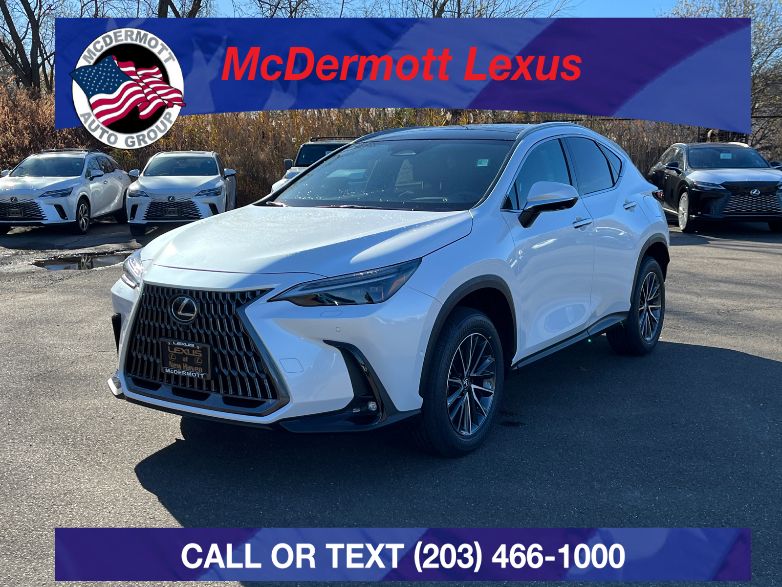 2025 Lexus NX 350h Luxury 1