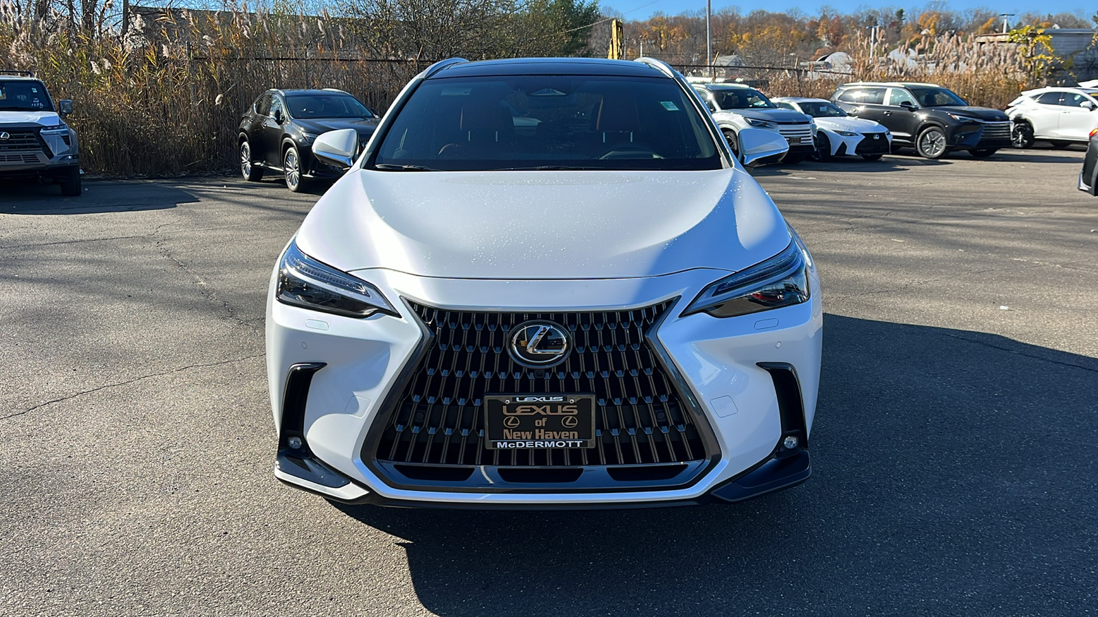 2025 Lexus NX 350h Luxury 2