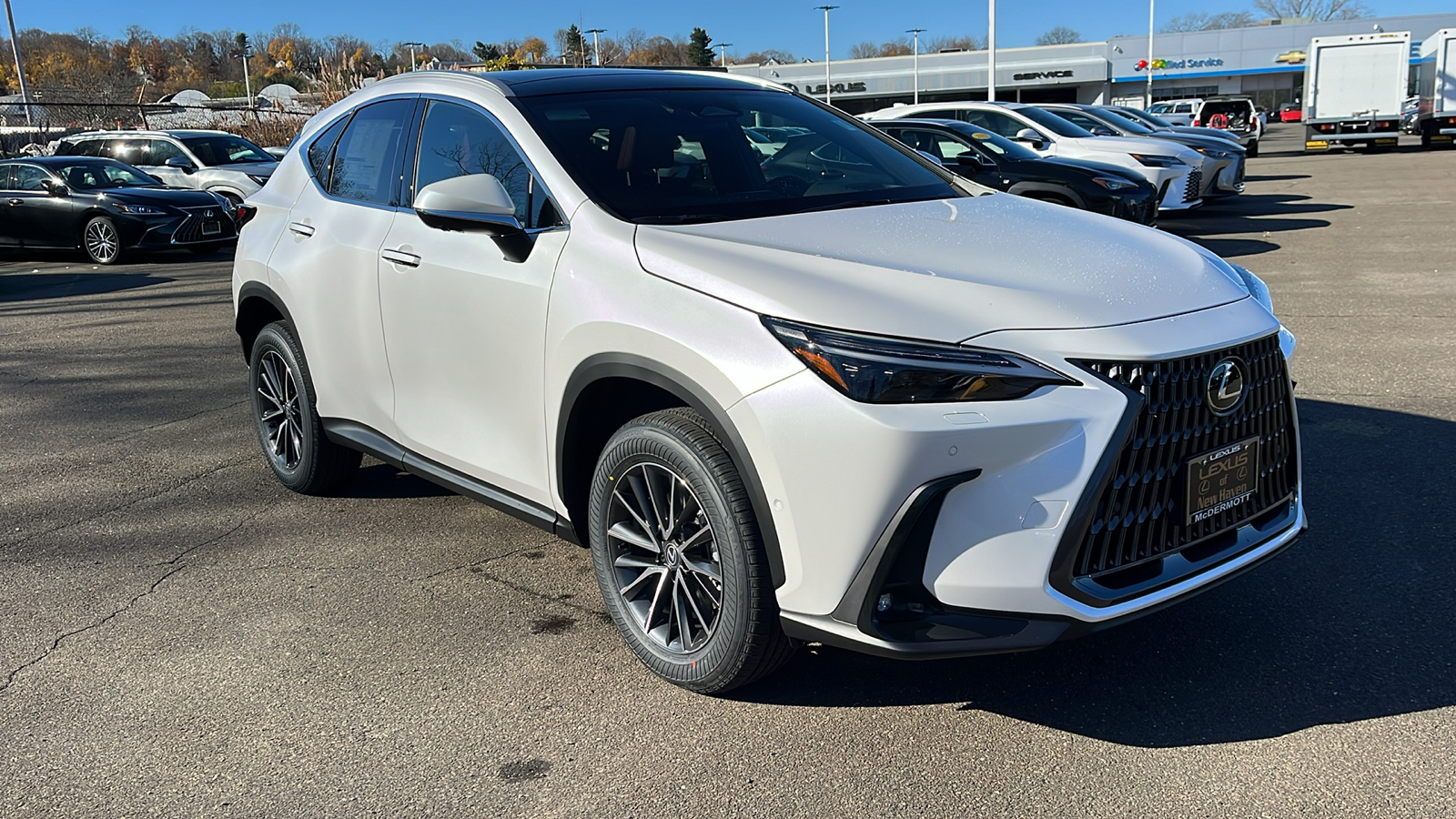 2025 Lexus NX 350h Luxury 3