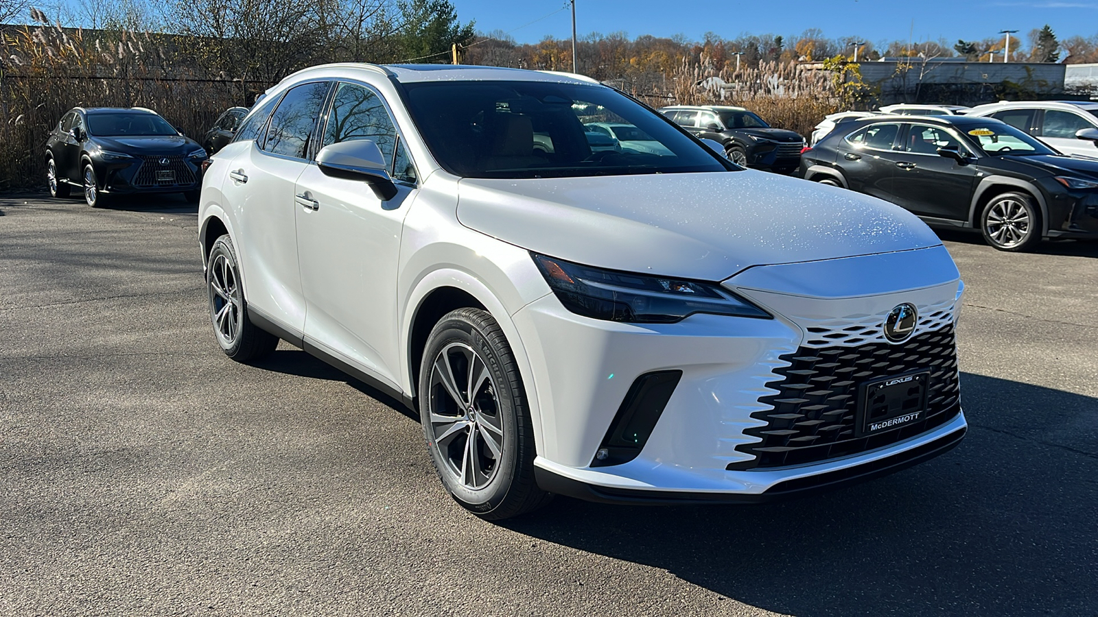 2025 Lexus RX 350 Base 3