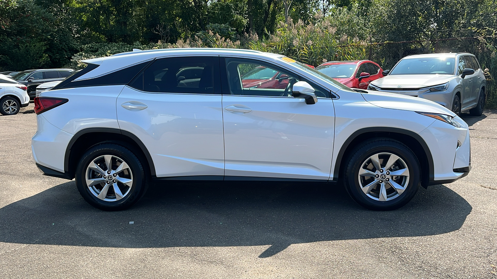 2019 Lexus RX 350 Base 4