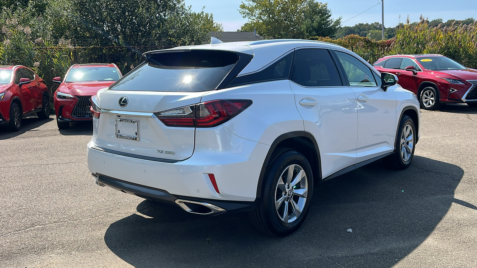 2019 Lexus RX 350 Base 5