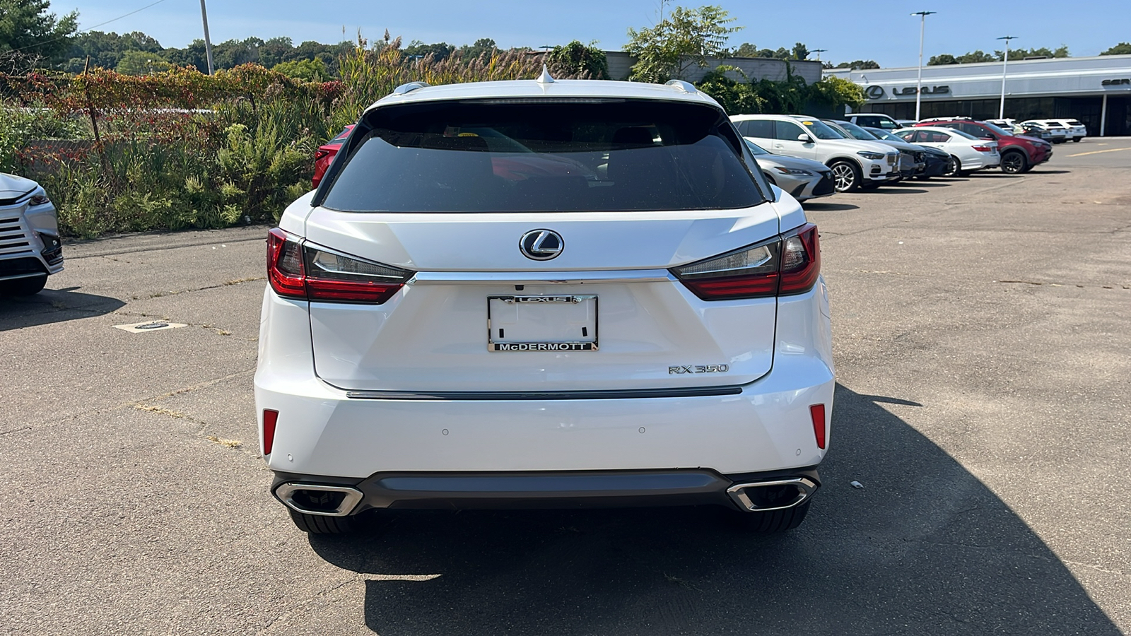 2019 Lexus RX 350 Base 6