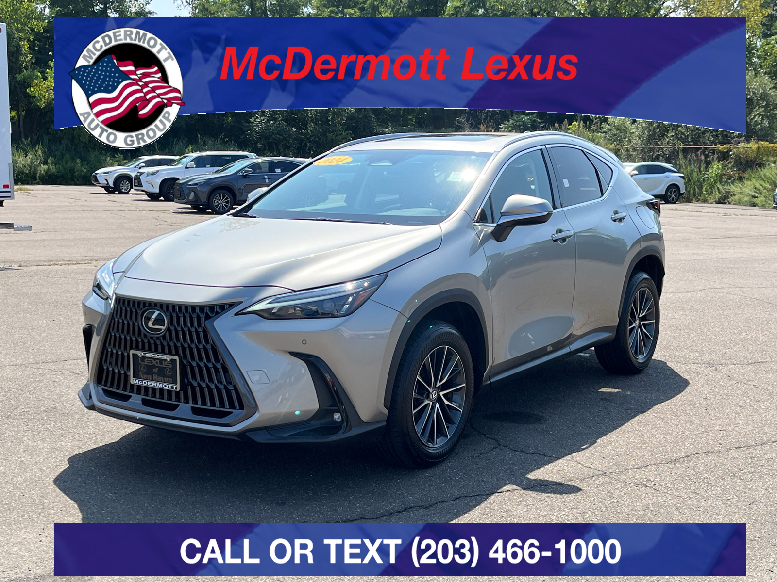 2024 Lexus NX 350 Premium 1