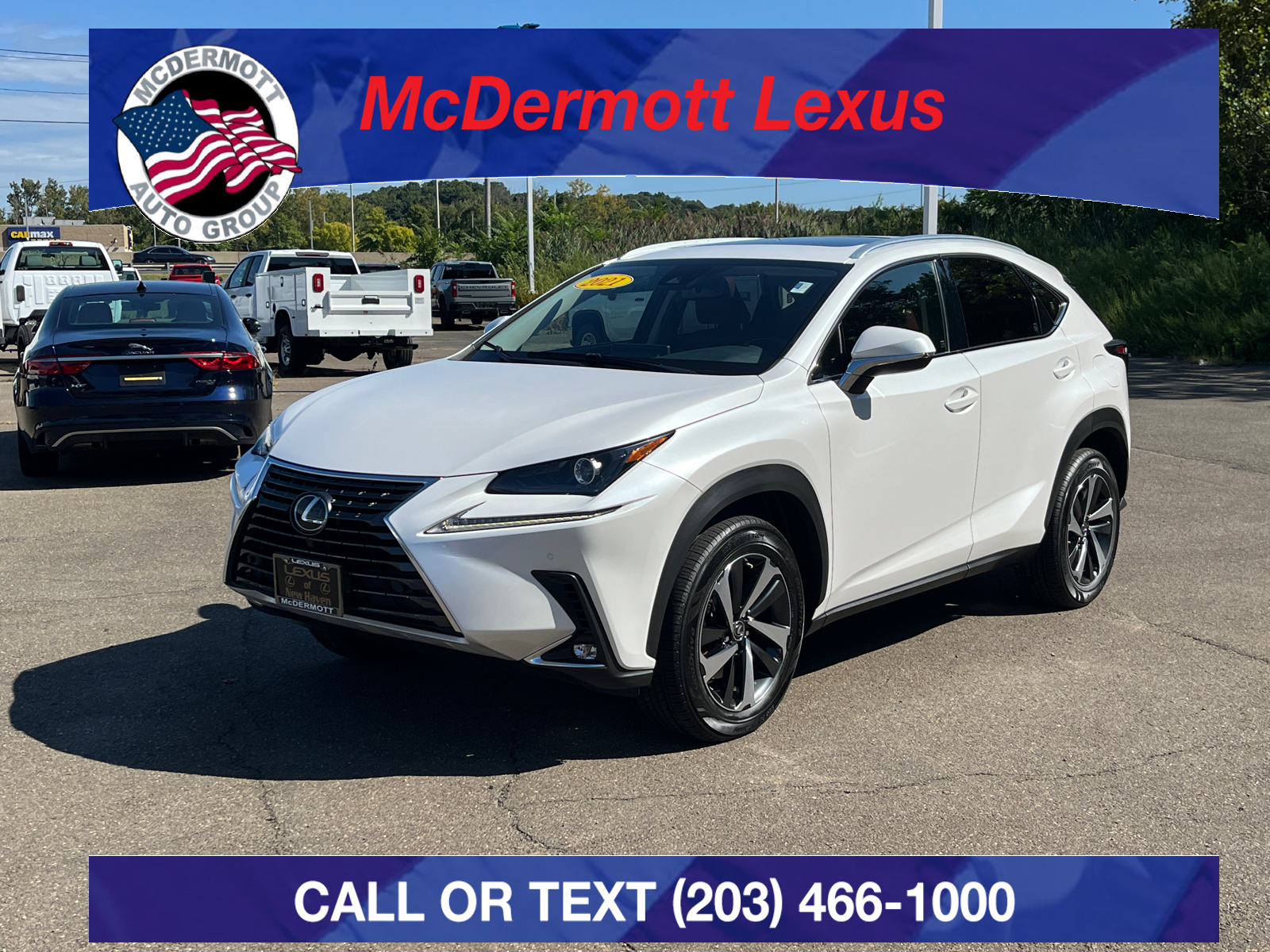 2021 Lexus NX 300 Base 1