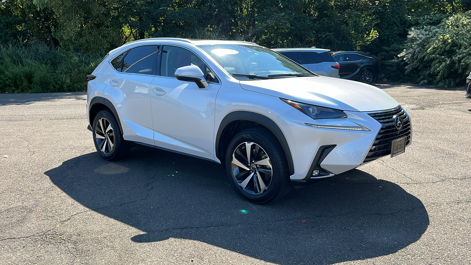 2021 Lexus NX 300 Base 3