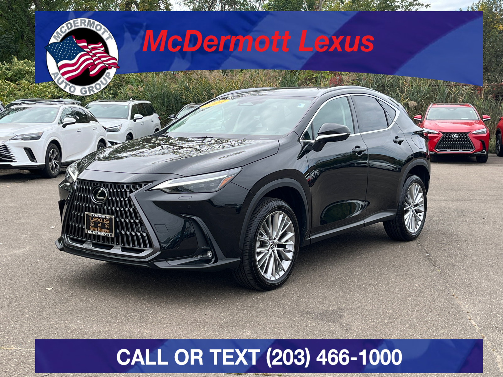 2024 Lexus NX 350 Luxury 1