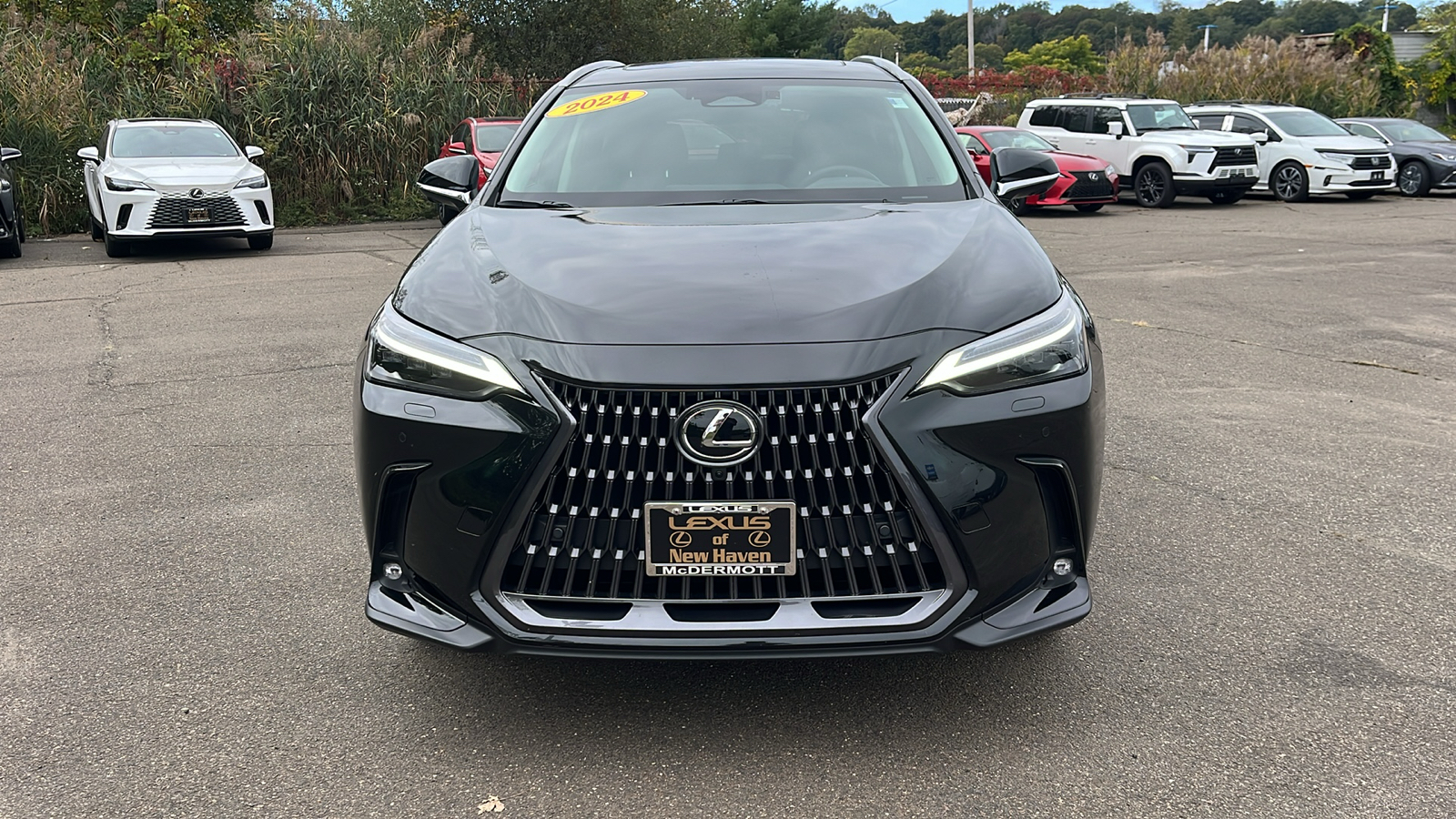 2024 Lexus NX 350 Luxury 2