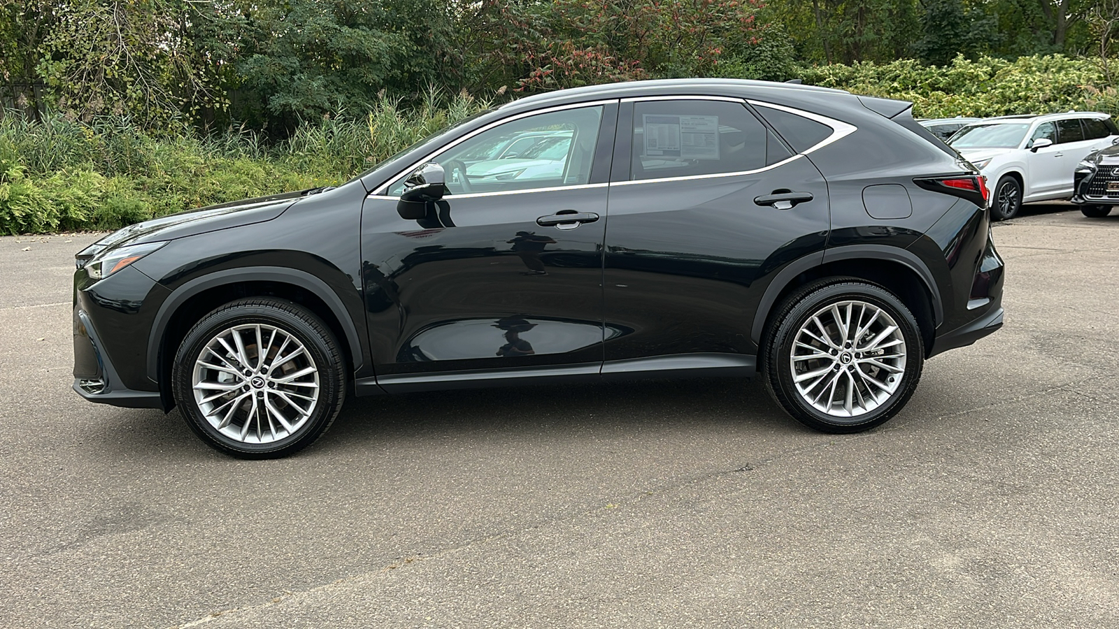 2024 Lexus NX 350 Luxury 8