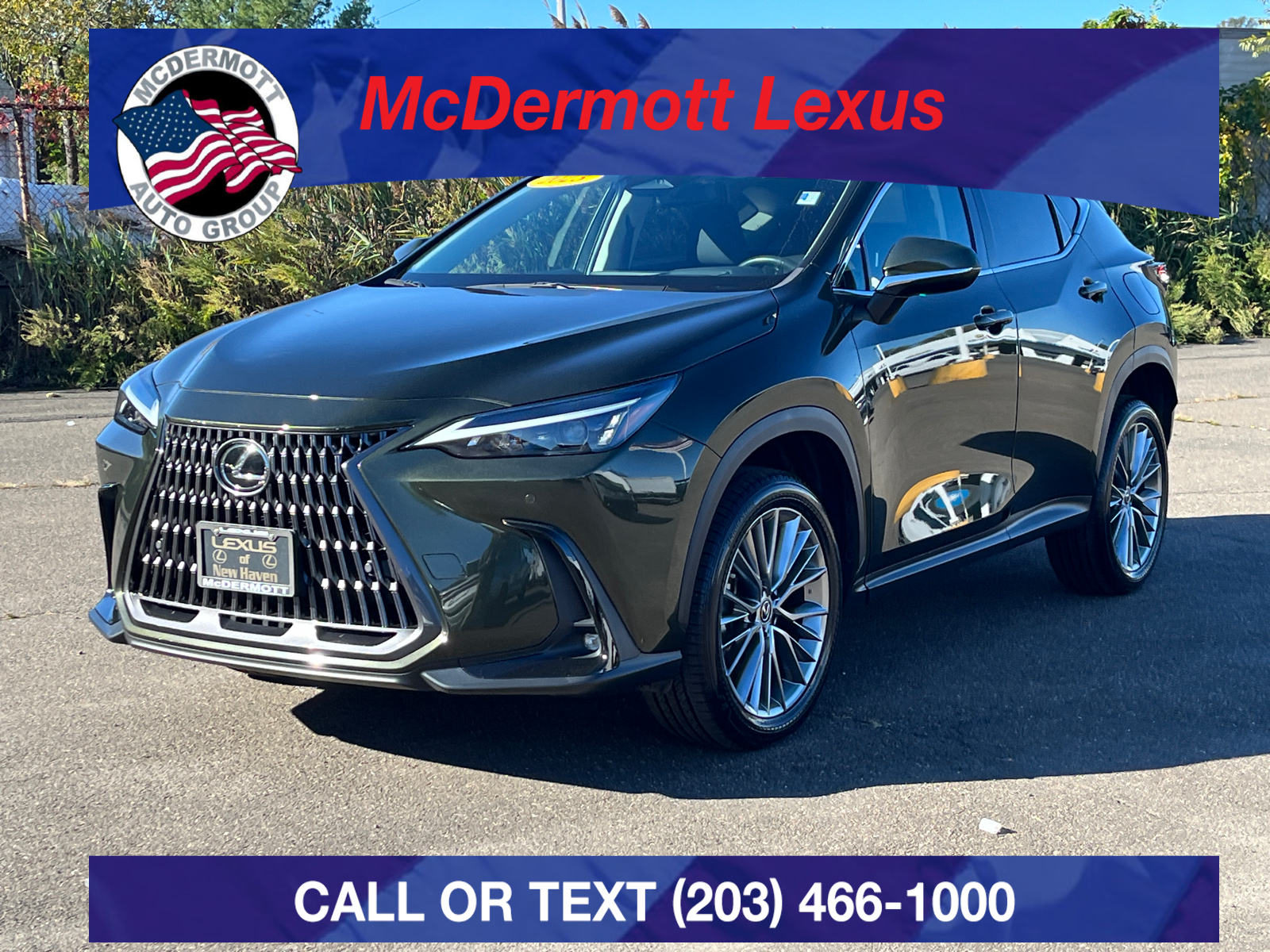 2023 Lexus NX 350h Premium 1