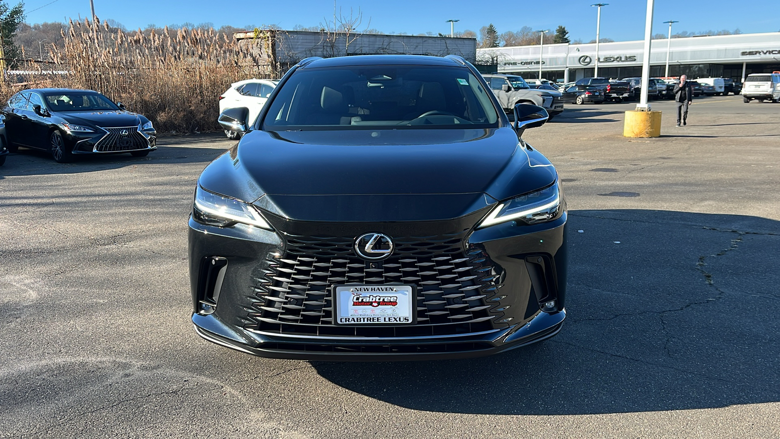 2024 Lexus RX 450h PLUS LUXURY 2