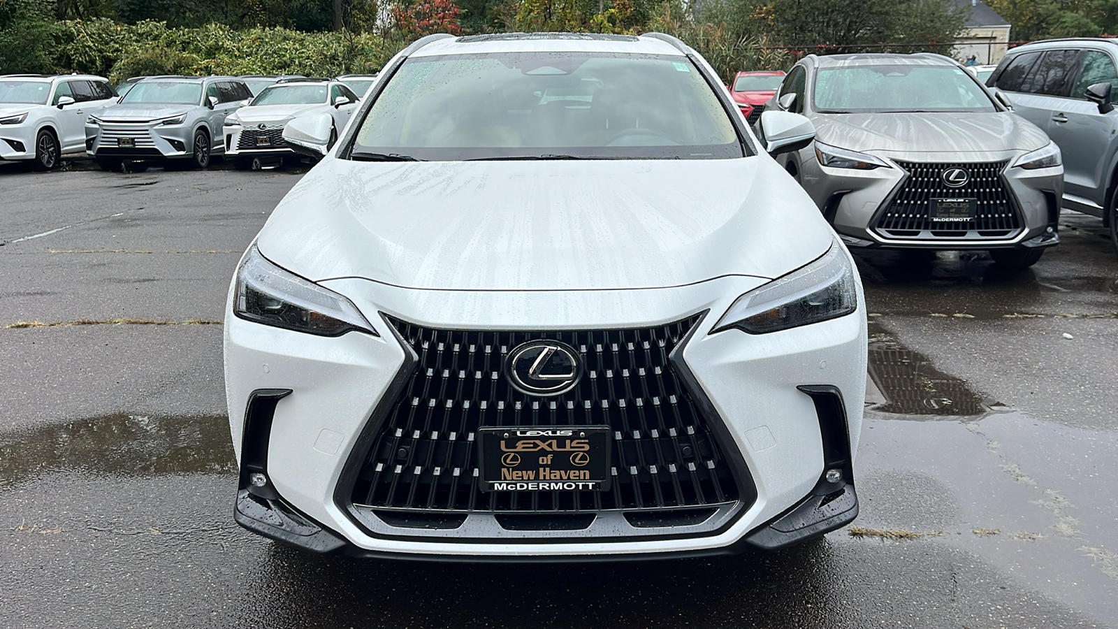 2025 Lexus NX 350 Base 2