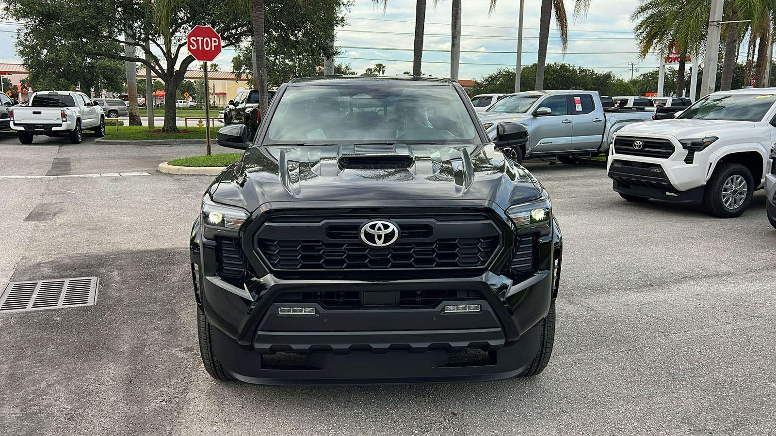 2024 Toyota Tacoma TRD Sport 2