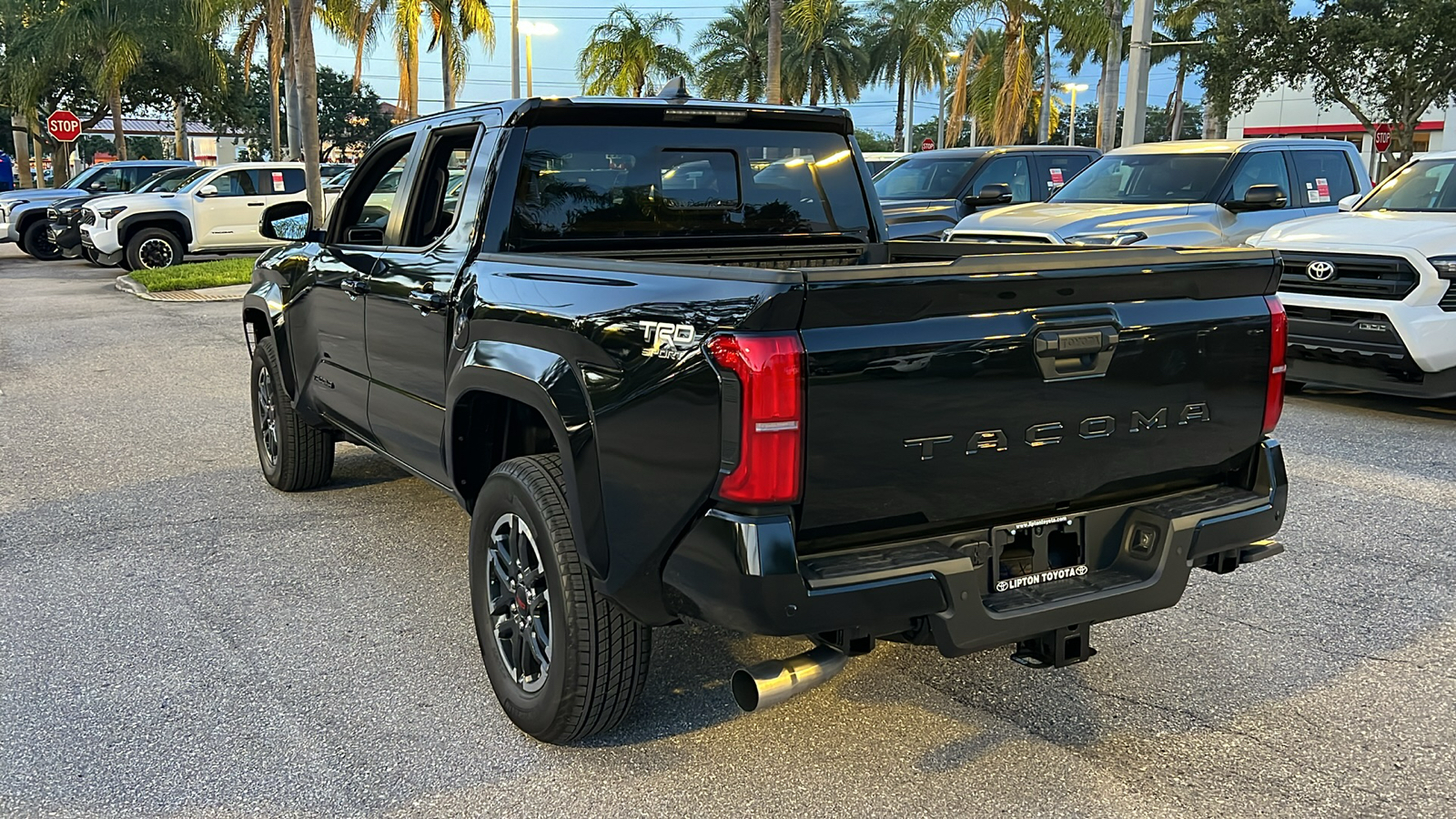 2024 Toyota Tacoma TRD Sport 5