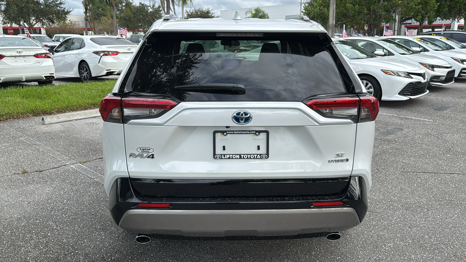 2024 Toyota RAV4 Hybrid SE 6