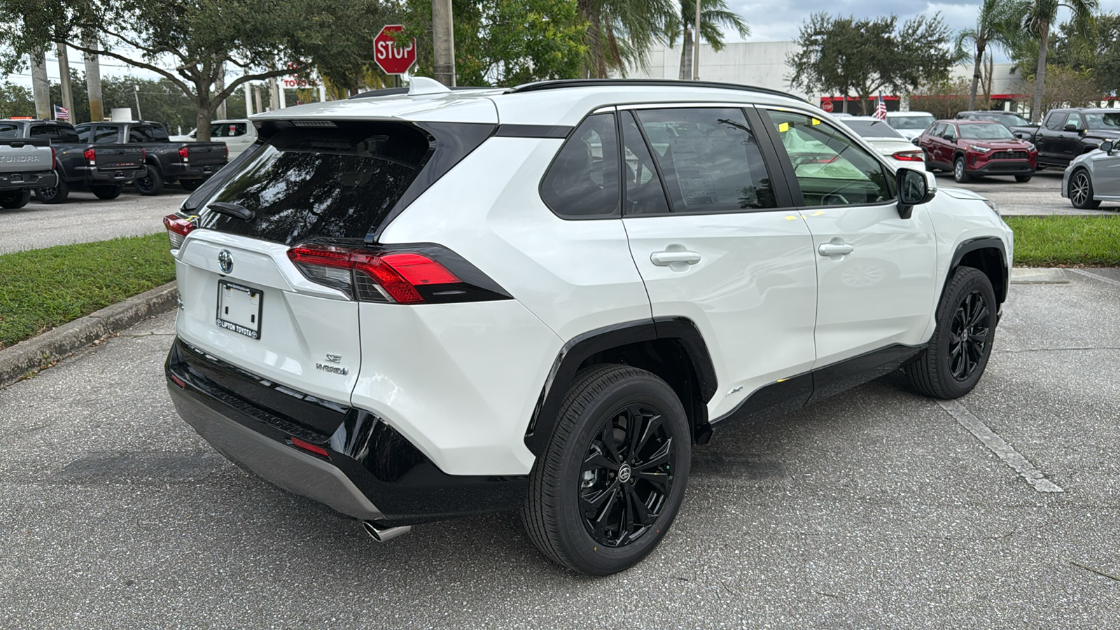 2024 Toyota RAV4 Hybrid SE 10