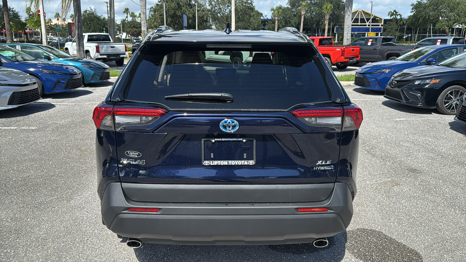 2024 Toyota RAV4 Hybrid XLE 6