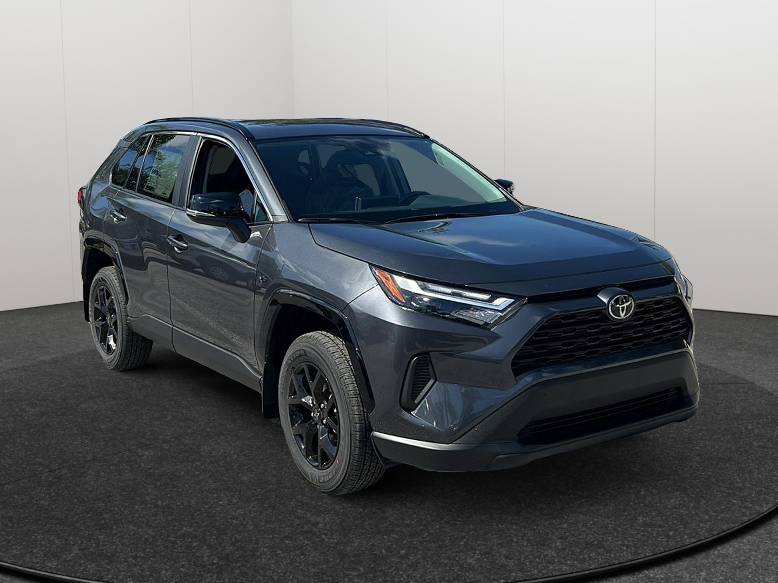 2024 Toyota RAV4 XLE 1