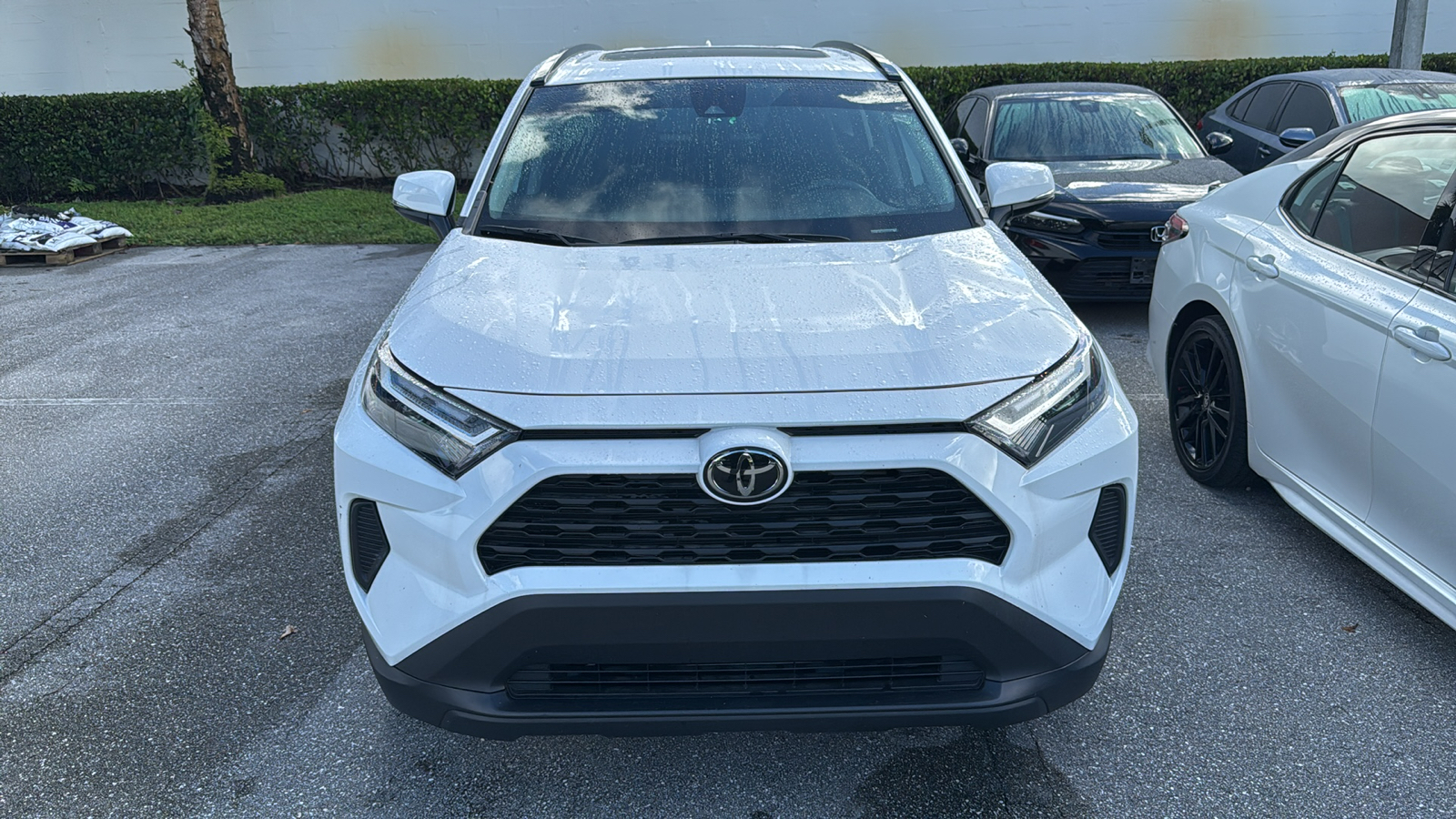 2023 Toyota RAV4 XLE 2