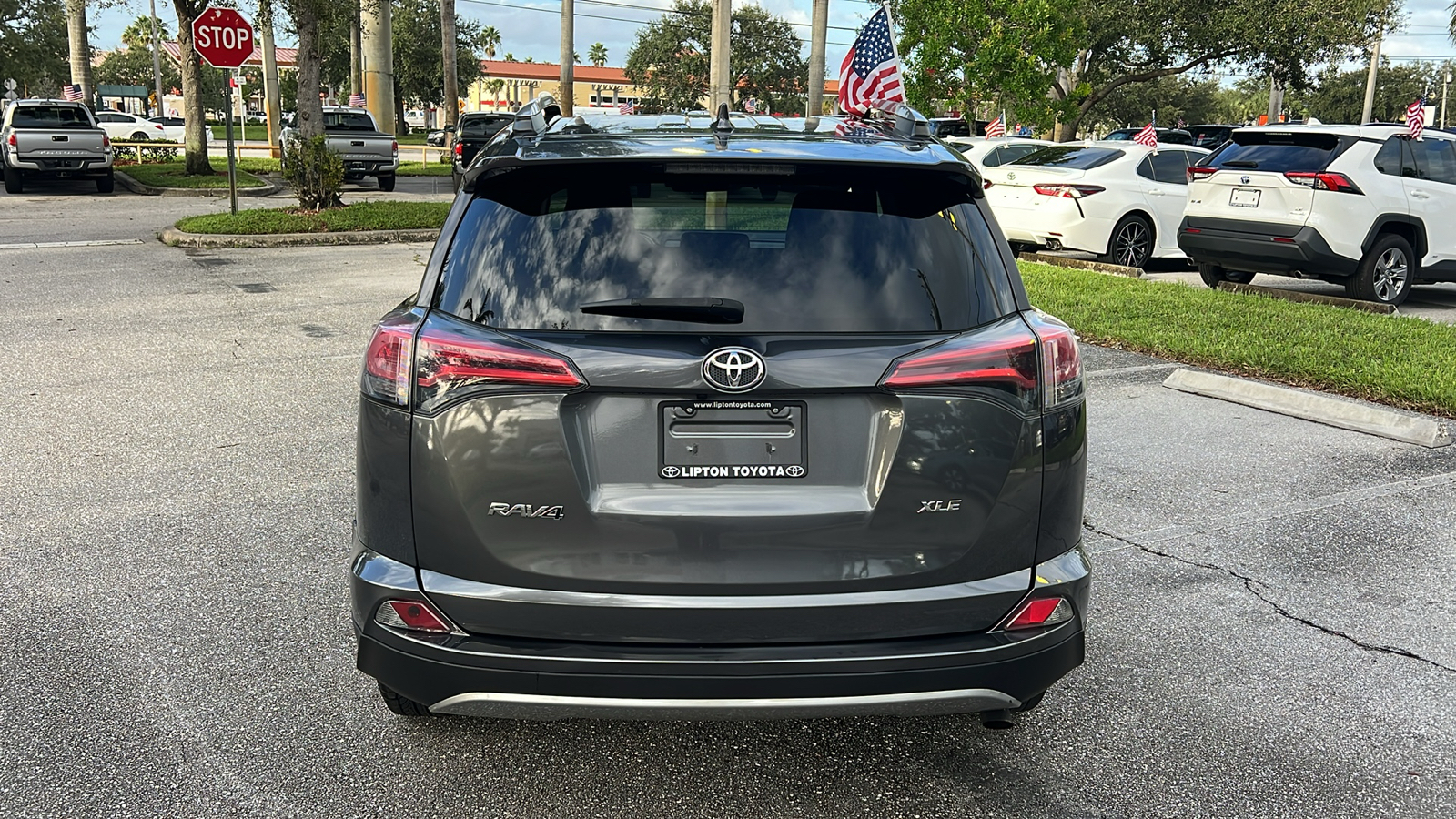 2018 Toyota RAV4 XLE 6