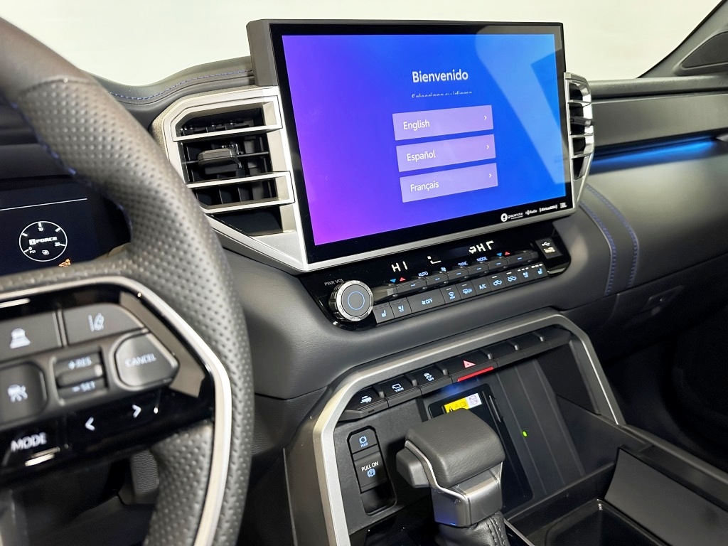 2024 Toyota Tundra 4WD Platinum 20