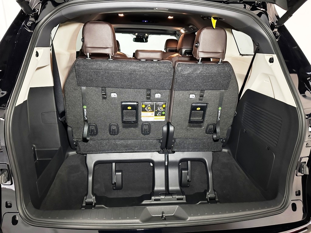 2024 Toyota Sienna Platinum 22