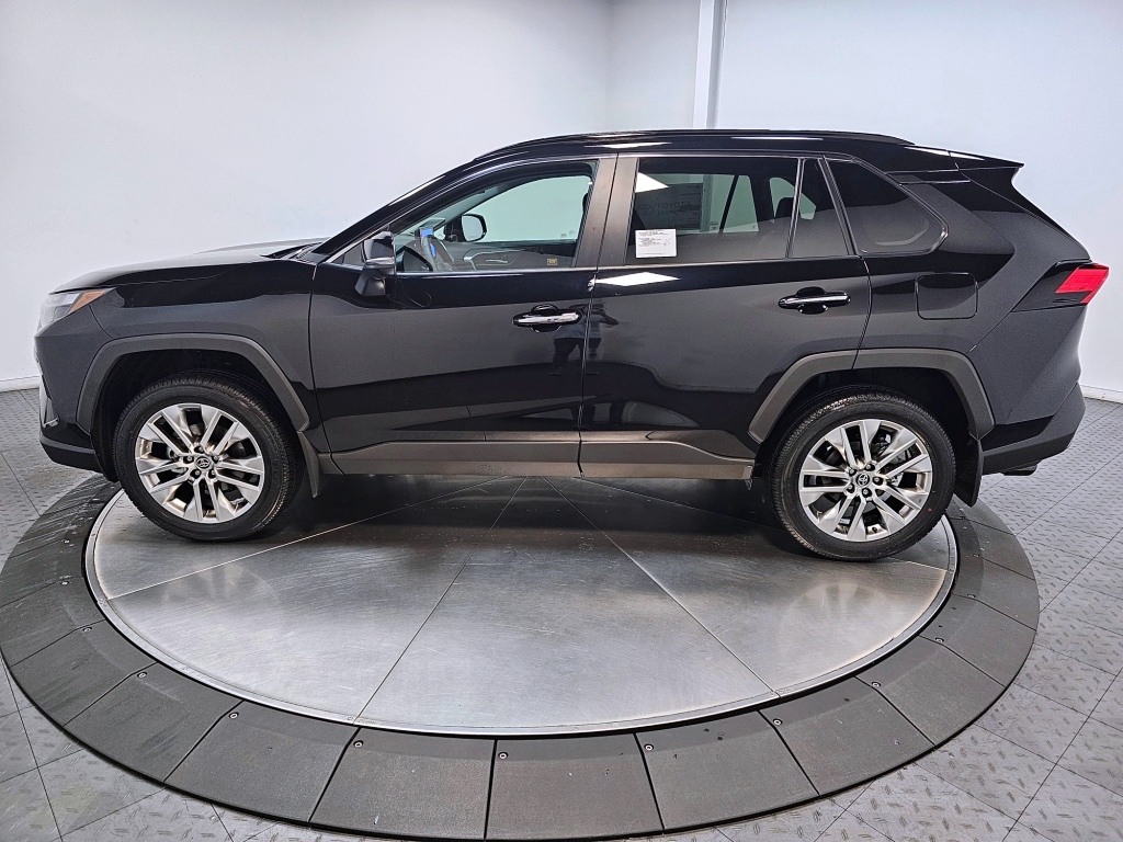 2025 Toyota RAV4 Limited 5