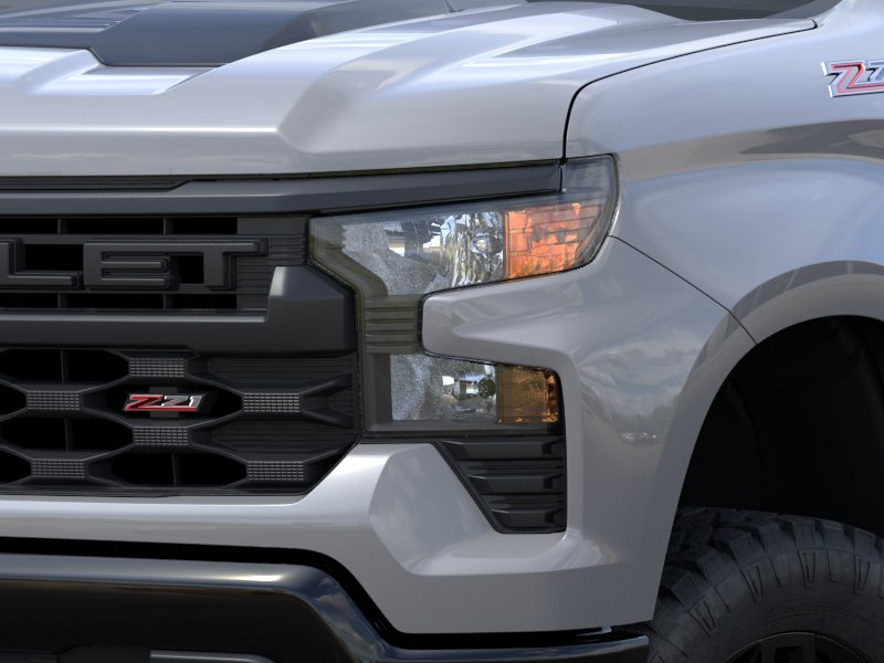 2024 Chevrolet Silverado 1500 Custom Trail Boss 10