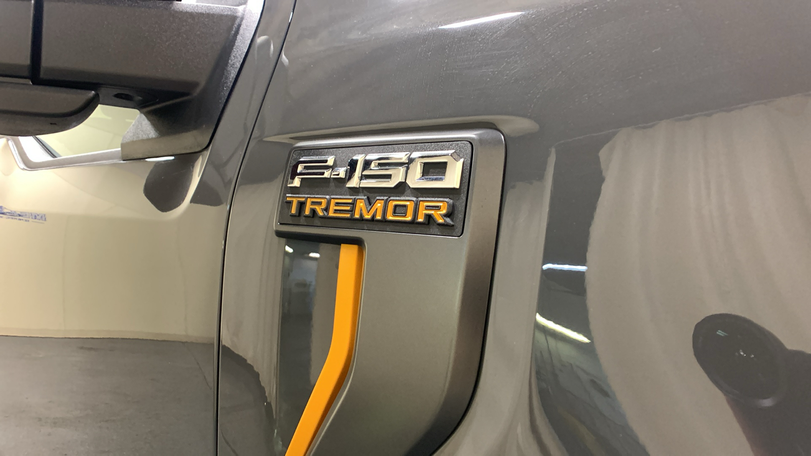 2021 Ford F-150 Tremor 10