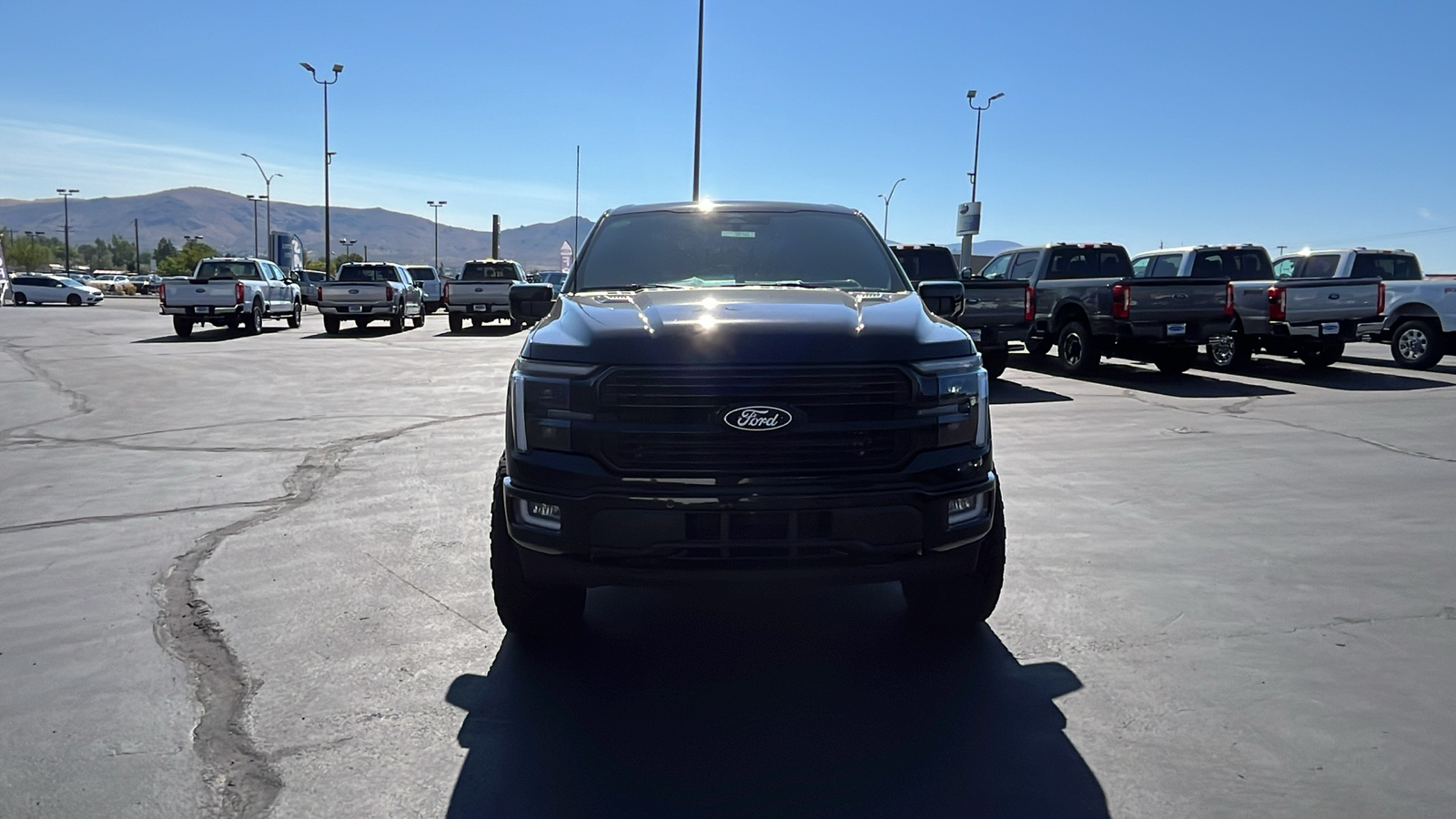 2024 Ford F-150 SERIES Platinum 8