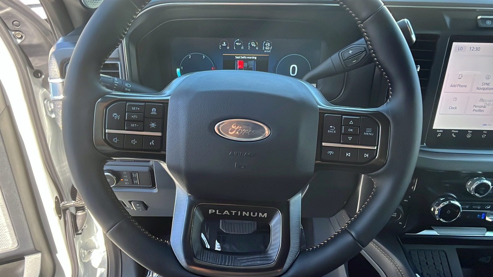 2024 Ford S-DTY F-250 Platinum 13