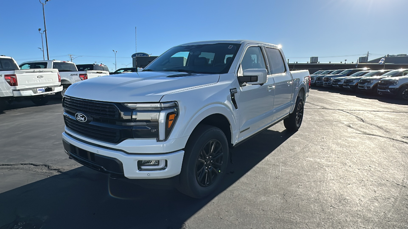 2024 Ford F-150 SERIES Platinum 7