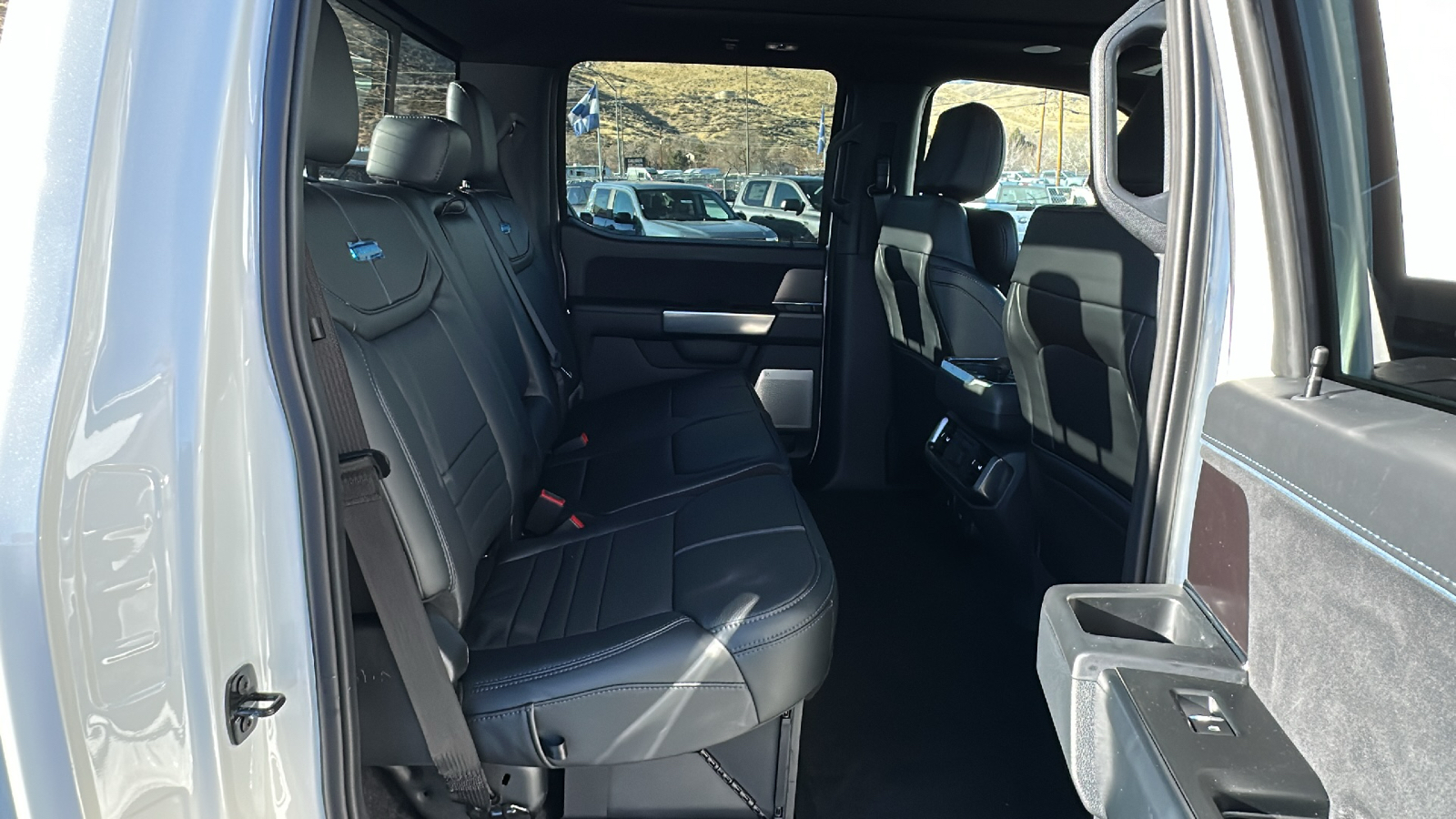 2024 Ford F-150 SERIES Platinum 9