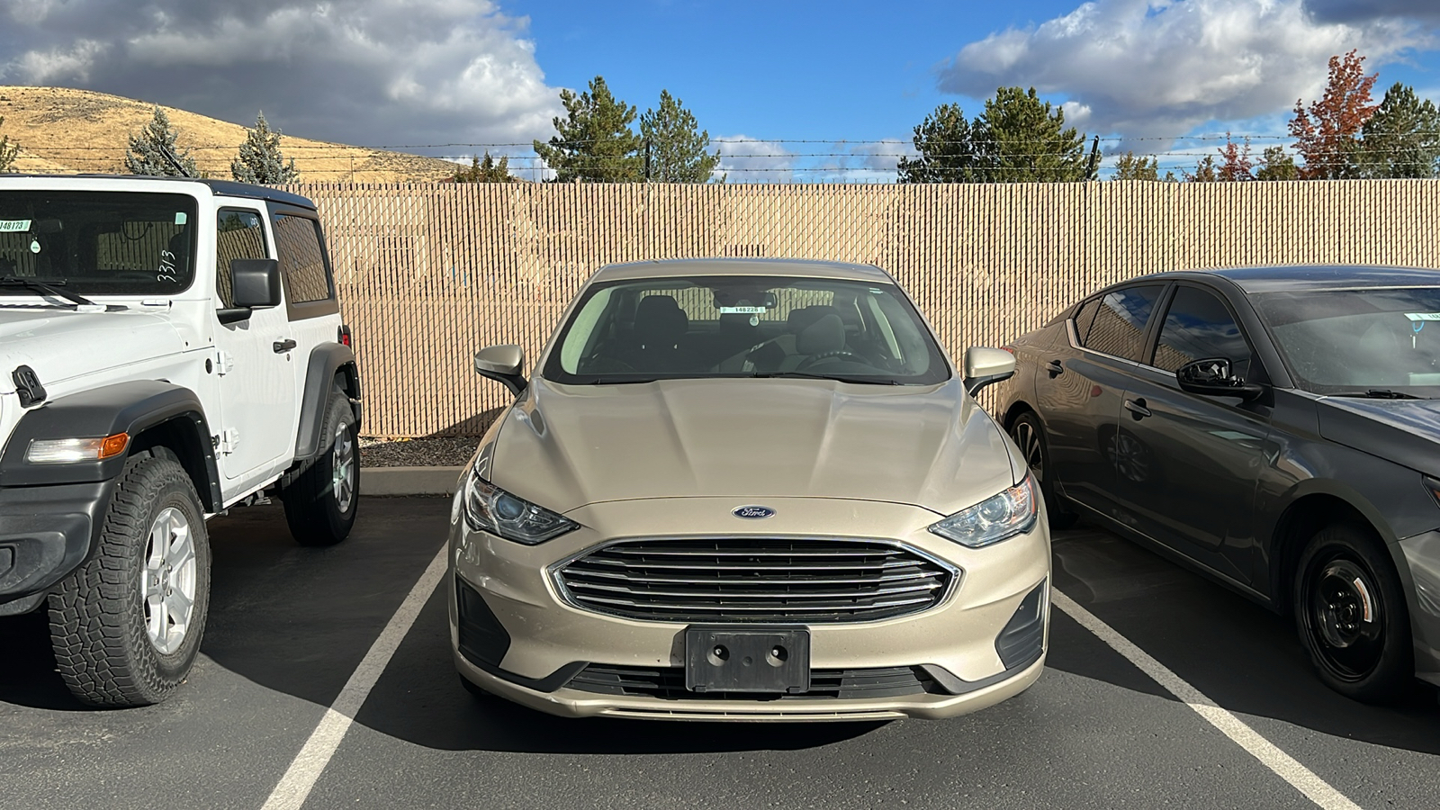 2019 Ford Fusion Hybrid SE 2