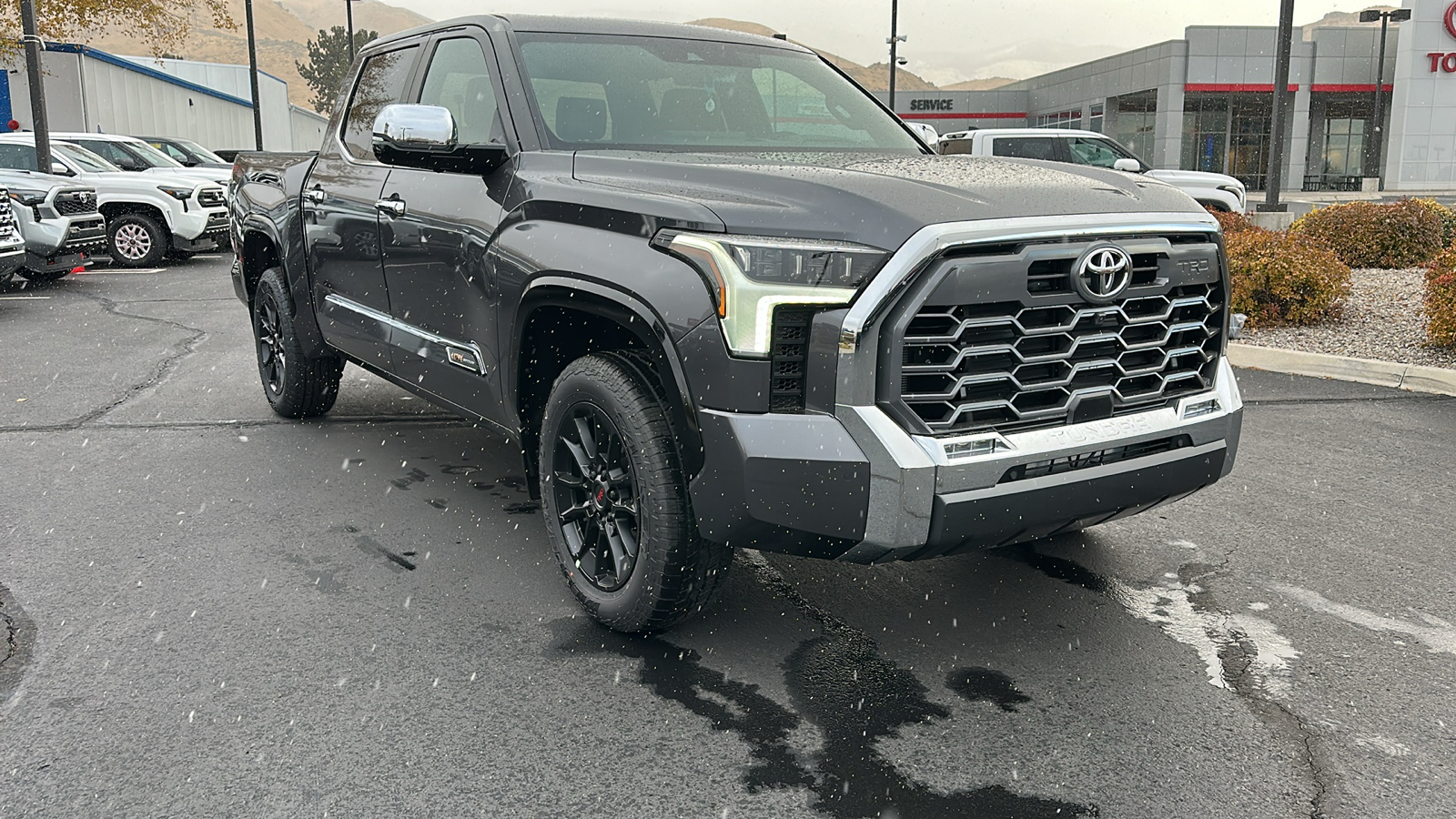 2025 TOYOTA Tundra 1794 Edition 1