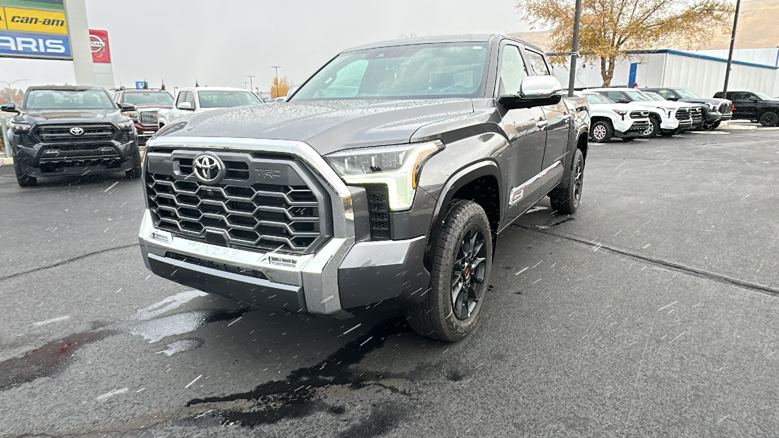 2025 TOYOTA Tundra 1794 Edition 7