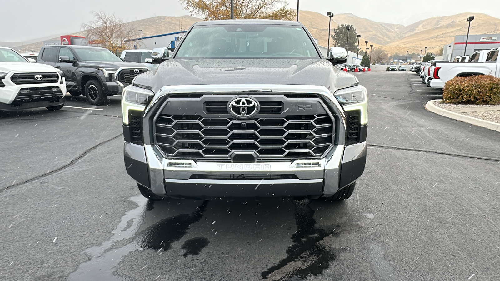 2025 TOYOTA Tundra 1794 Edition 8