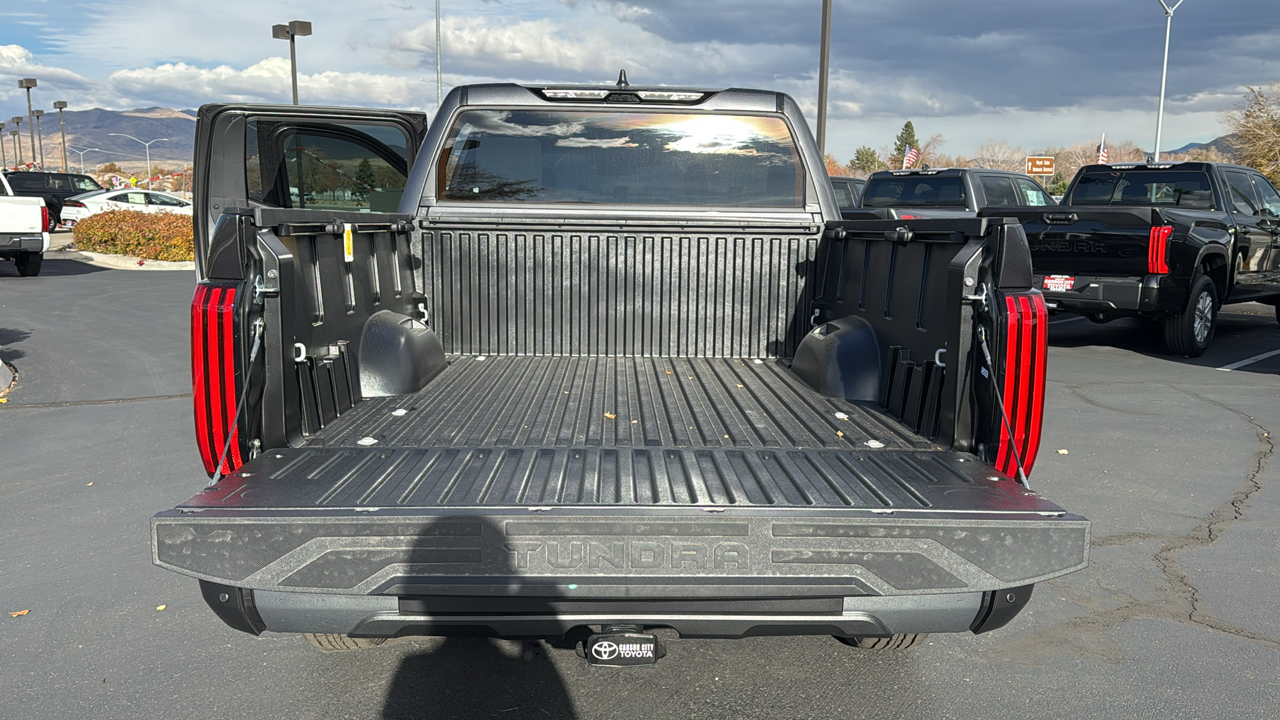 2025 TOYOTA Tundra SR5 10