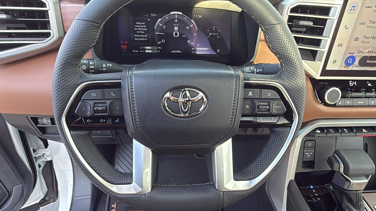 2025 TOYOTA Tundra 1794 Edition 13