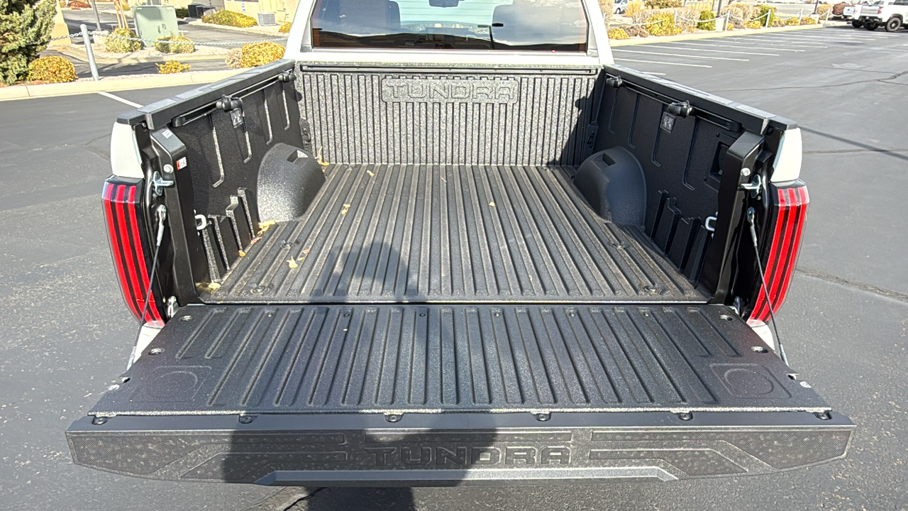 2025 TOYOTA Tundra 1794 Edition 18