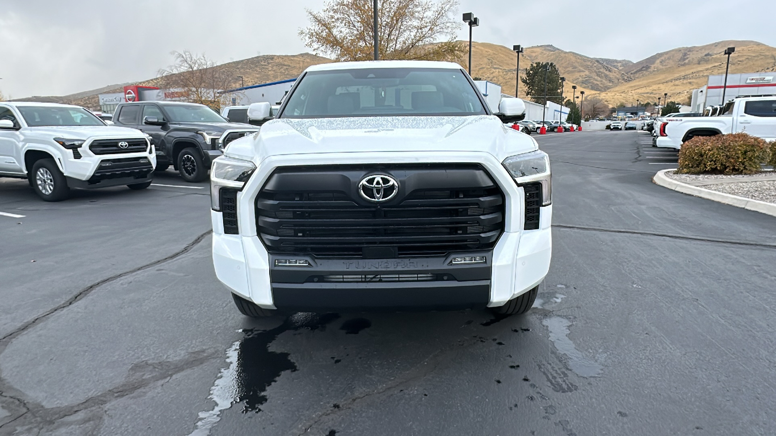 2025 TOYOTA Tundra SR5 8