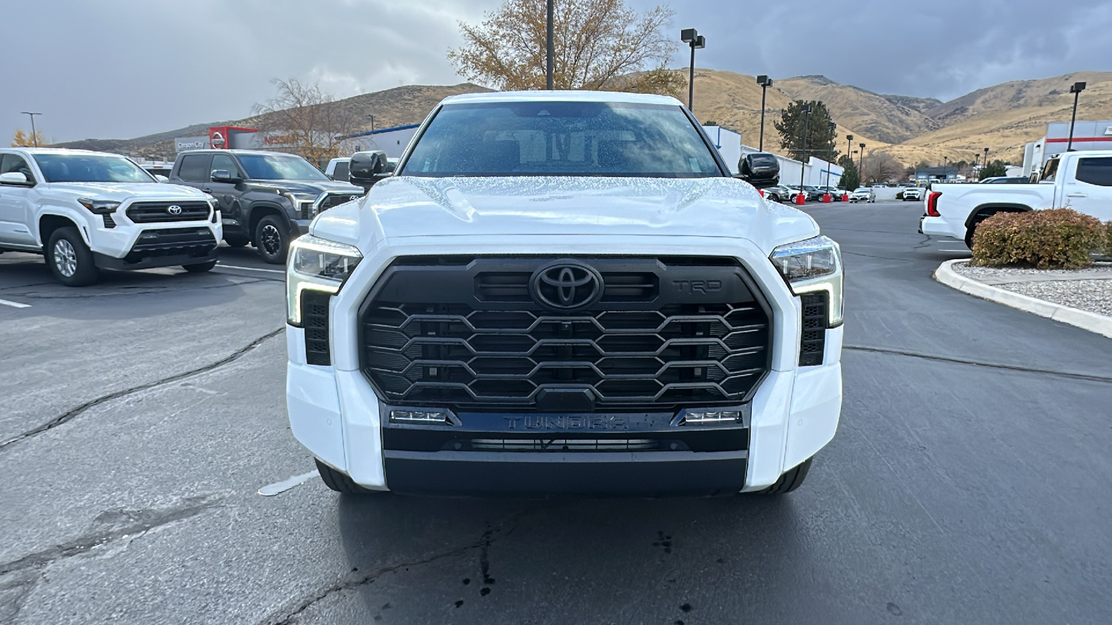 2025 TOYOTA Tundra Limited 8