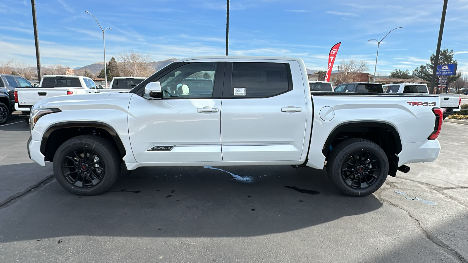 2025 TOYOTA Tundra Platinum 6