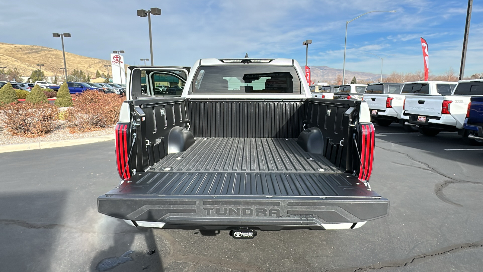 2025 TOYOTA Tundra Platinum 12