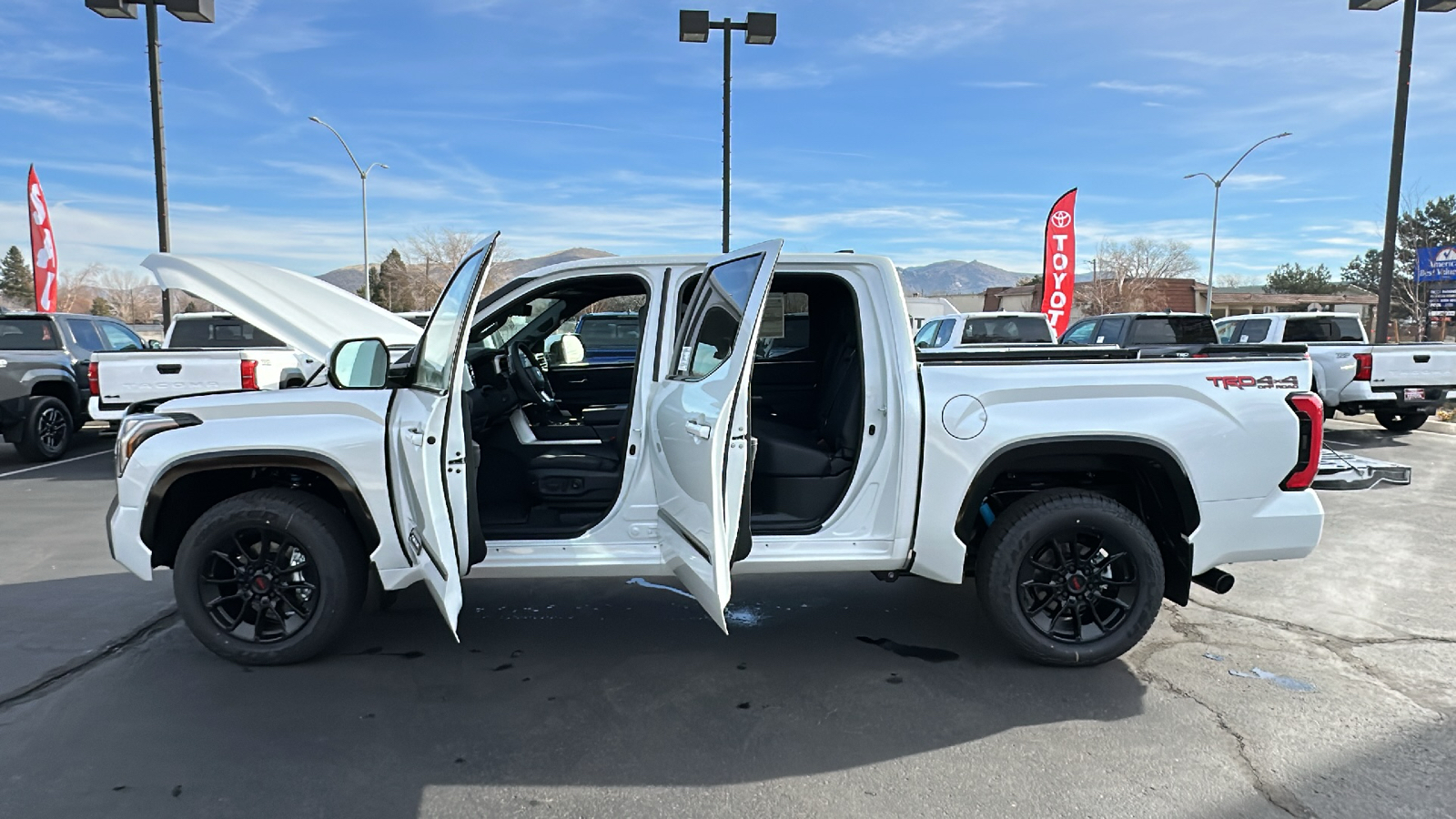 2025 TOYOTA Tundra Platinum 13