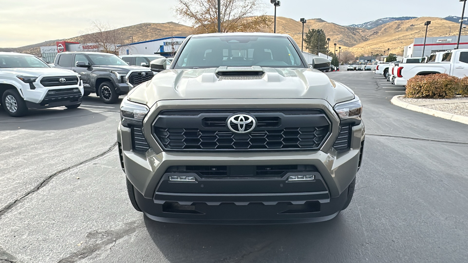 2024 TOYOTA Tacoma TRD Sport 8