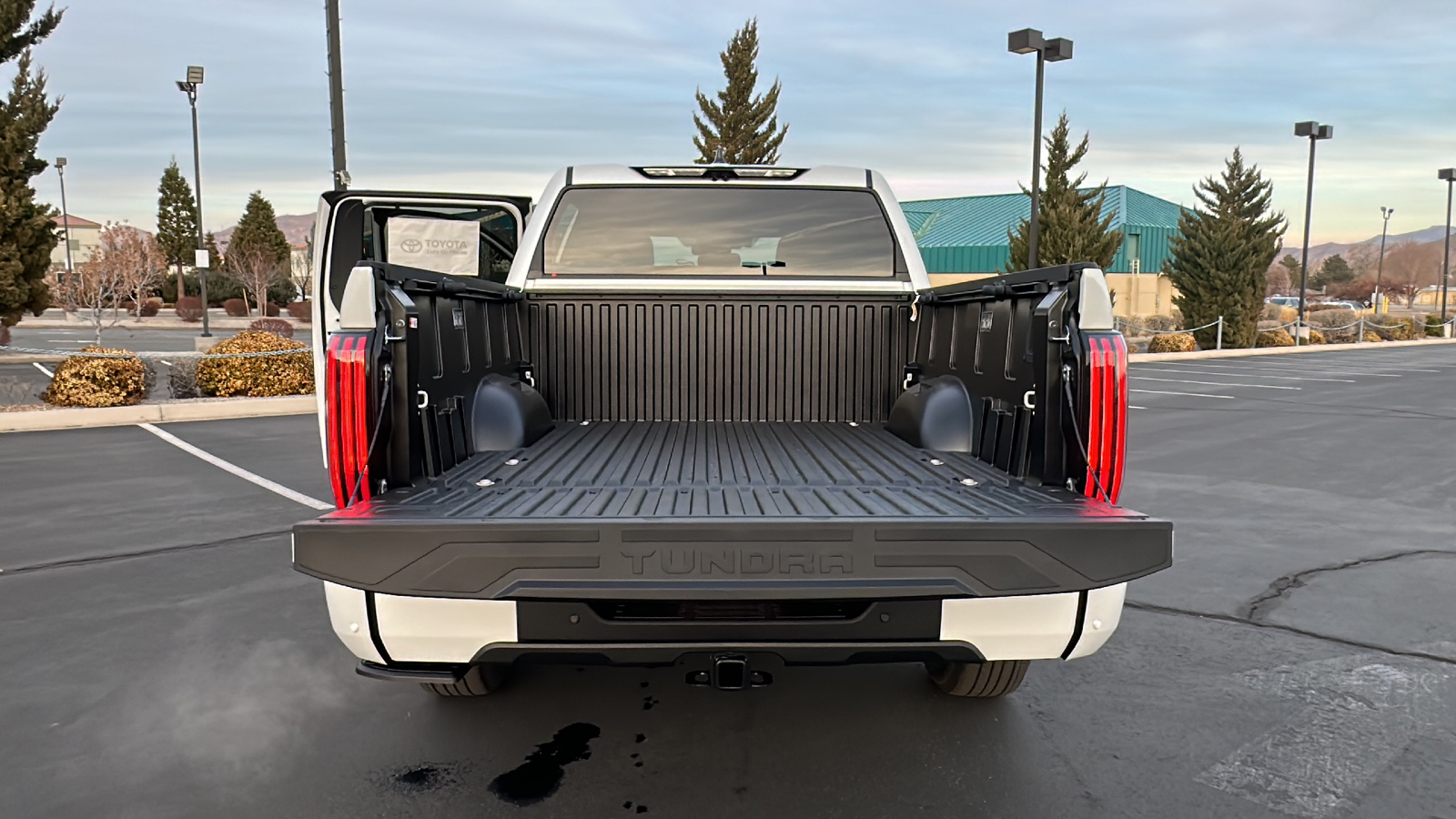 2025 TOYOTA Tundra Platinum 10