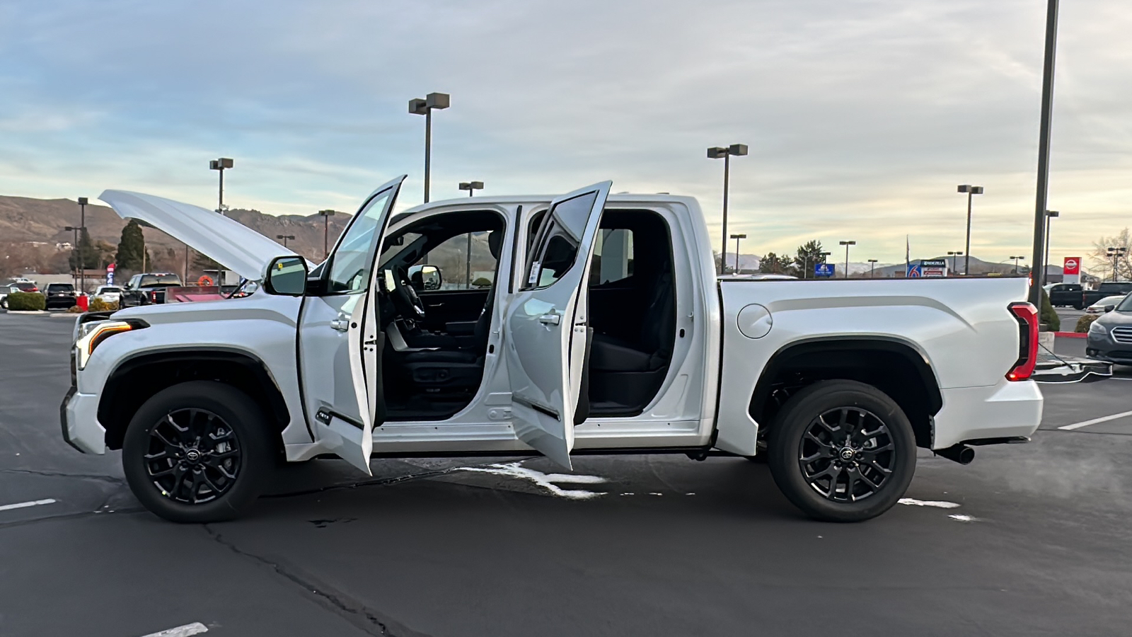 2025 TOYOTA Tundra Platinum 11